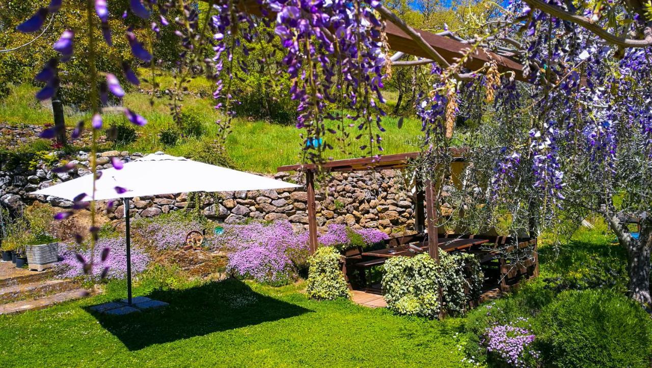 Podere Pontepietra Soriano nel Cimino Exterior foto