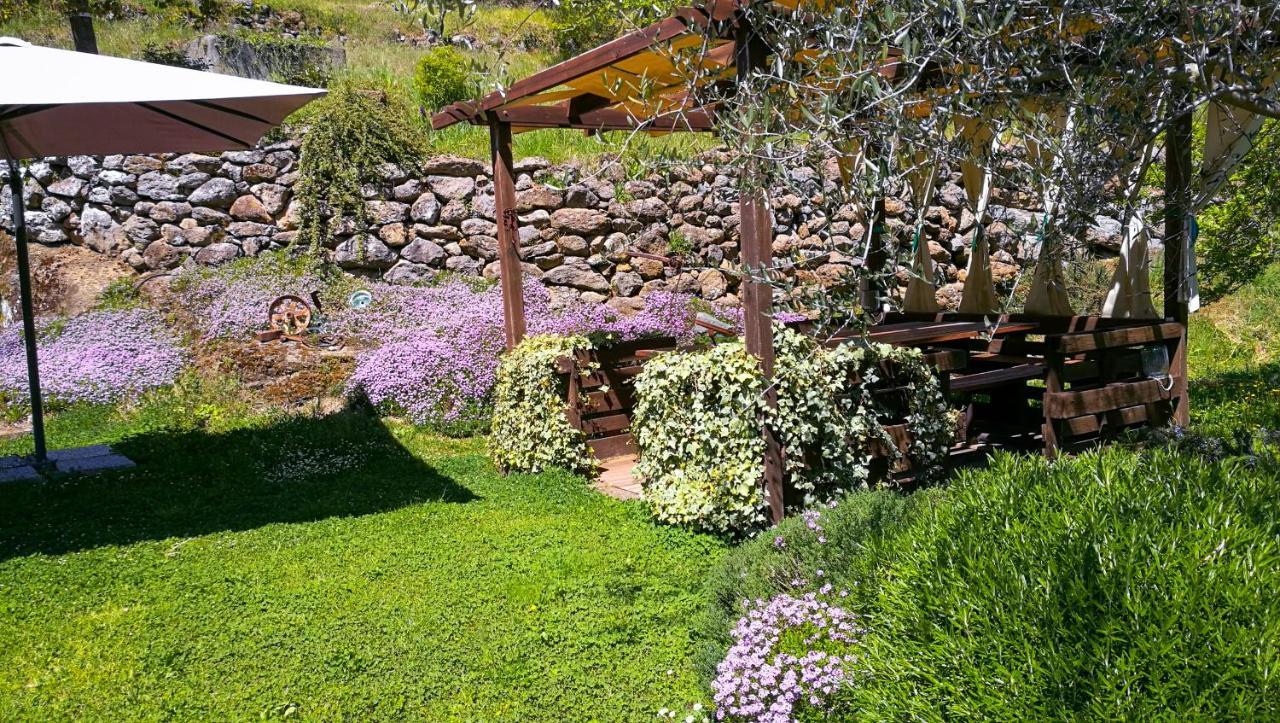 Podere Pontepietra Soriano nel Cimino Exterior foto