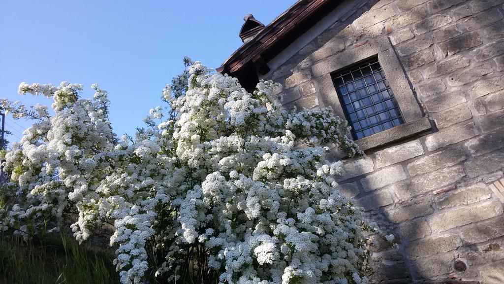 Podere Pontepietra Soriano nel Cimino Exterior foto